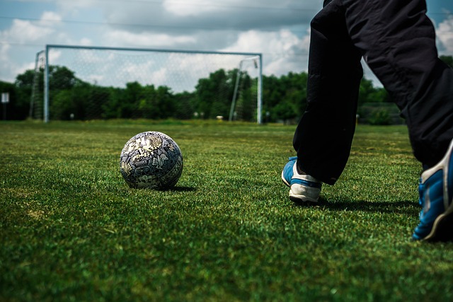 择将其排除 择将其排除