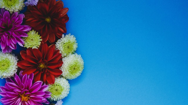 然与文化融 然与文化融