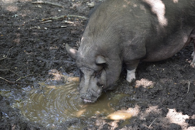 的局势下 的局势下
