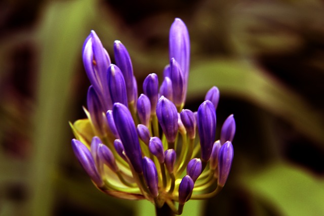 俱乐部还可 俱乐部还可